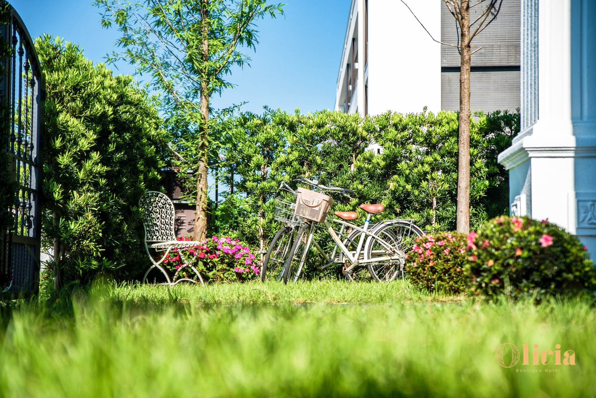 奧莉薇雅庭園氛圍